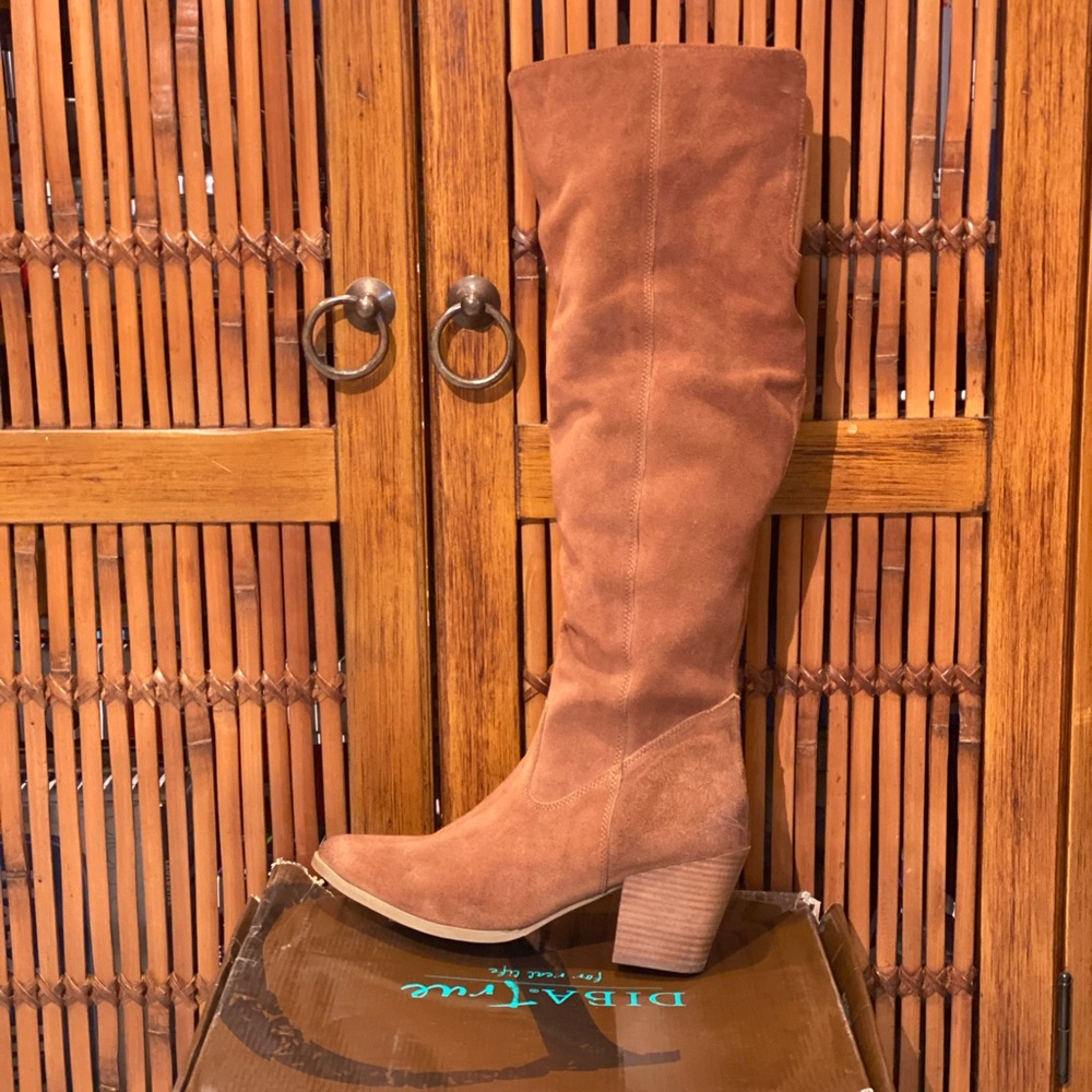 Diba True Cinna Full Knee Boots
- Leather/Suede **BRAND NEW**